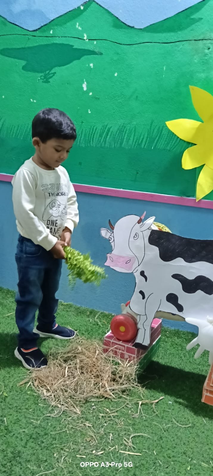 Kidz R Kidz Daycare Malakpet Hyderabad(4)
